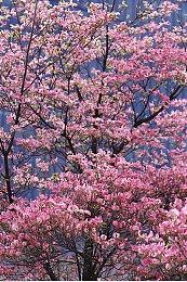 Steam全场低至2折！PLAYISM发行商促销现已召开！